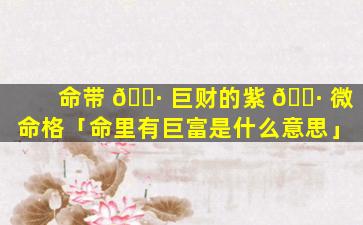 命带 🕷 巨财的紫 🌷 微命格「命里有巨富是什么意思」